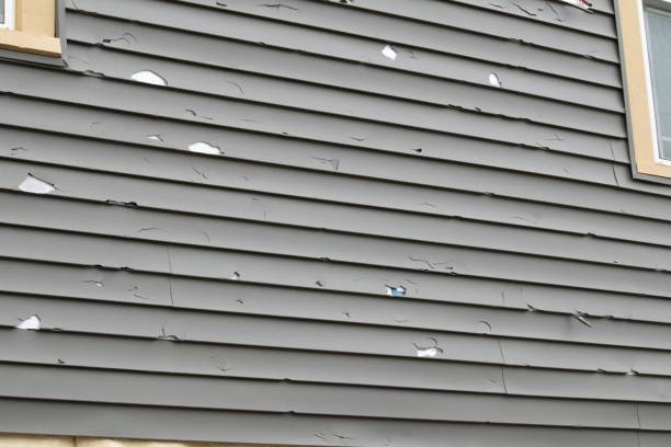 Best Wood Siding Installation  in Rio Dell, CA